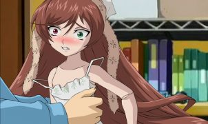 suiseiseki sex doll - rozen maiden sex game